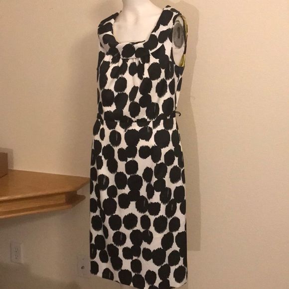 Dress Barn Dresses Fabulous Dress Barn Midi Dress Poshmark
